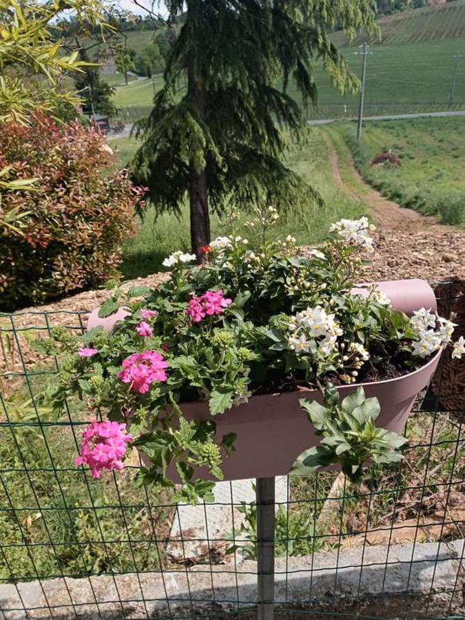 Bb Lady Bed & Breakfast Castelvetro di Modena Ngoại thất bức ảnh